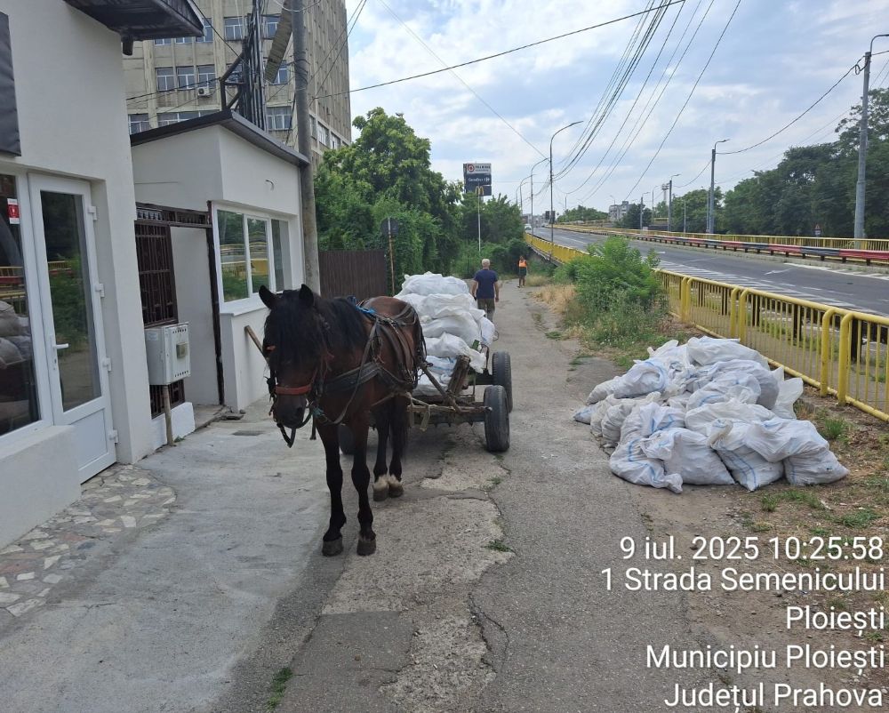 Căruță plină cu moloz, oprită de polițiștii locali. Amenzi drastice și vehiculul confiscat