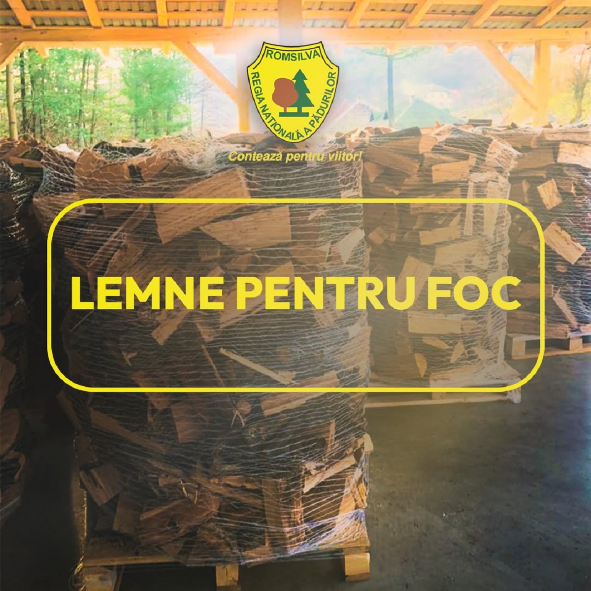 Romsilva vinde 2 milioane de metri cubi de lemn pentru foc, la prețuri similare celor de anul trecut