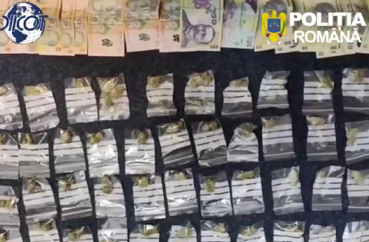 Un tânăr de 20 de ani a fost prins în flagrant, în Ploiești, având asupra lui zeci de pliculețe cu canabis - VIDEO LINK