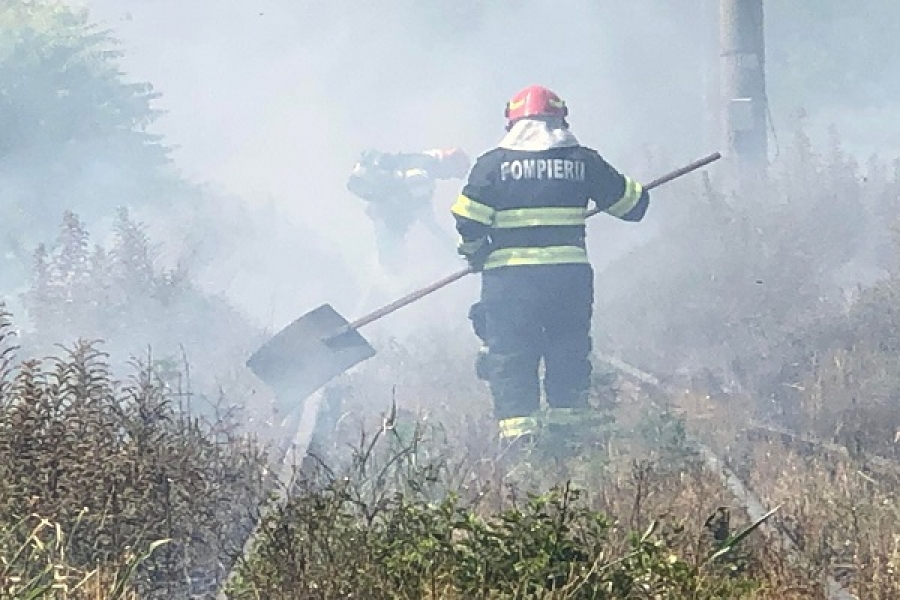 Incendiu de vegetație în zona Coca Cola din Ploiești