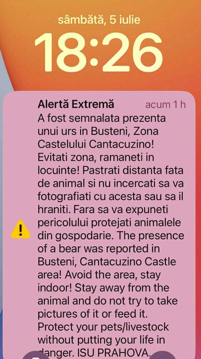 urs busteni azuga 5 iulie